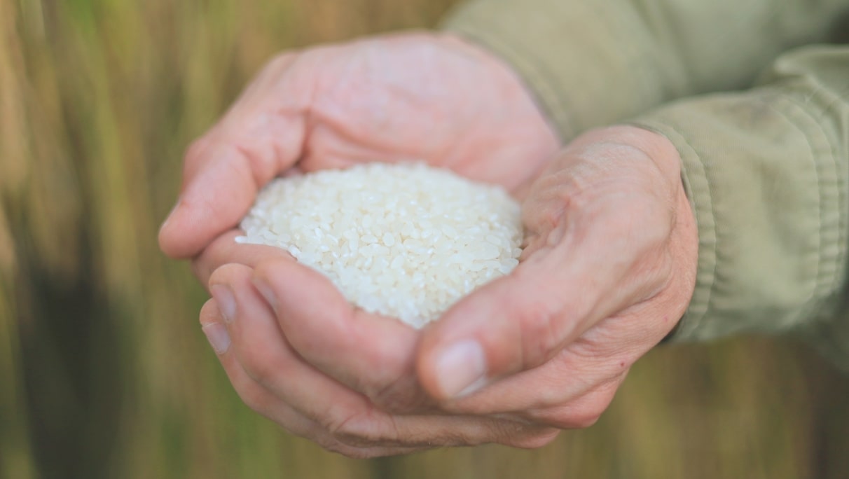 自然への感謝と生産者の愛情いっぱいで育った3waysのお米